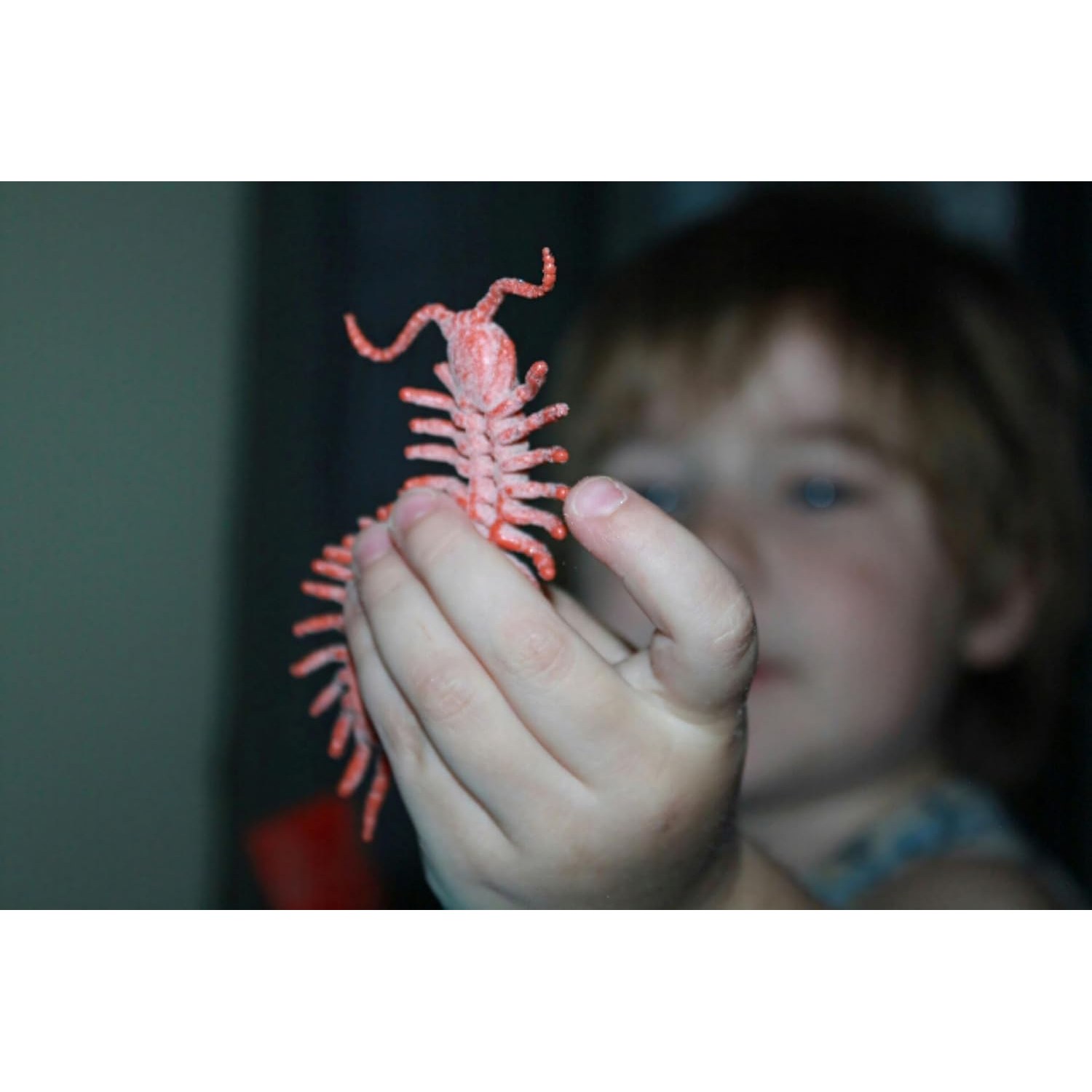 Realistic Insect Figures Toy Bug Set: image 4