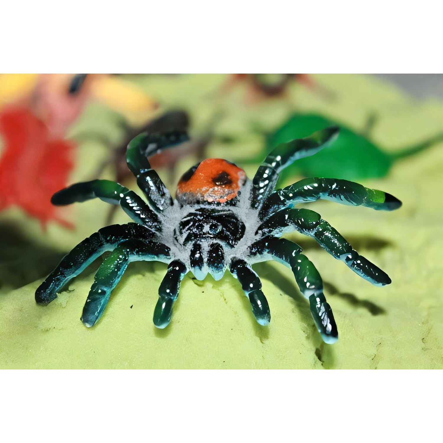 Realistic Insect Figures Toy Bug Set: image 5