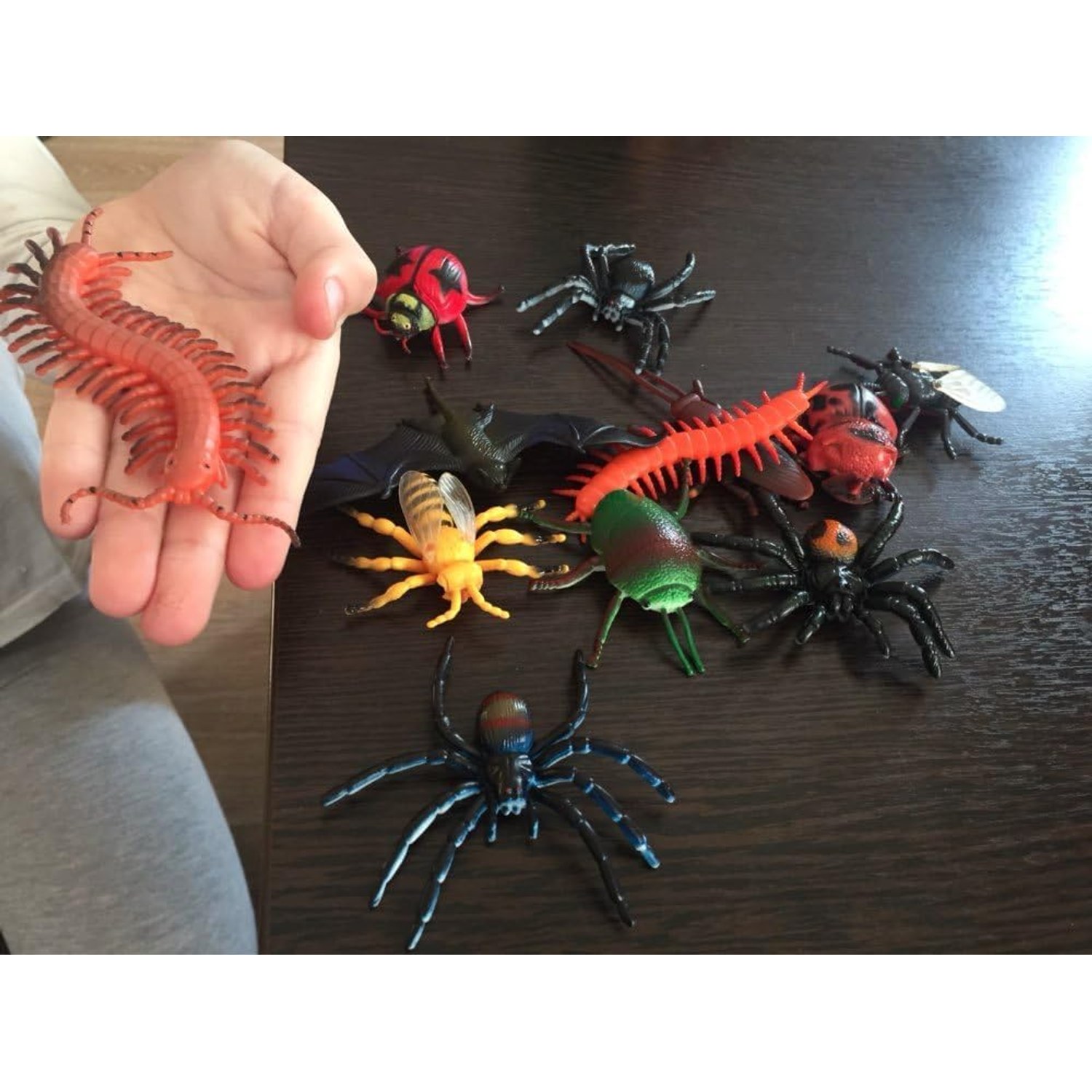Realistic Insect Figures Toy Bug Set: image 6